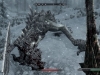 skyrimdragon