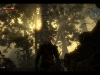 witcher2-foret