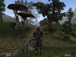 Morrowind