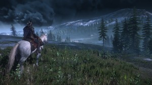 !_NEW_The_Witcher_3_Wild_Hunt_Horse