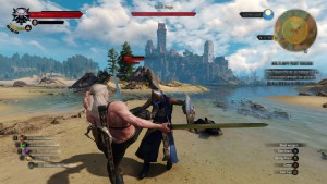 The Witcher 3 Hearts of Stone combat